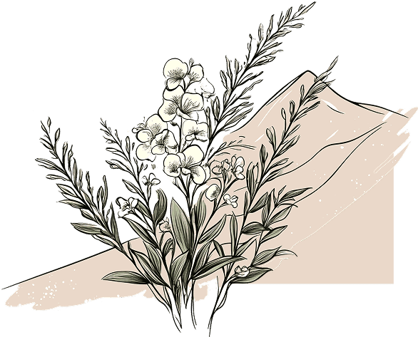 Flowers and Mountains